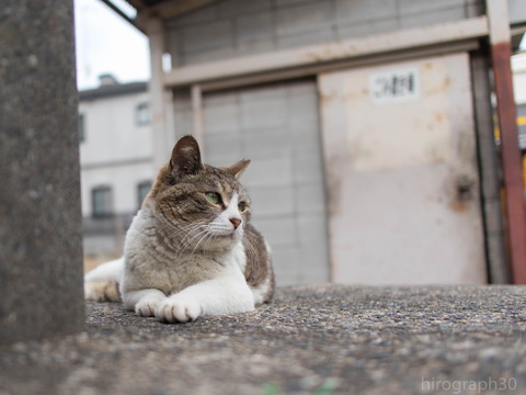 スーパー裏