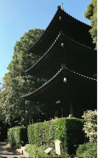 椿山荘_4