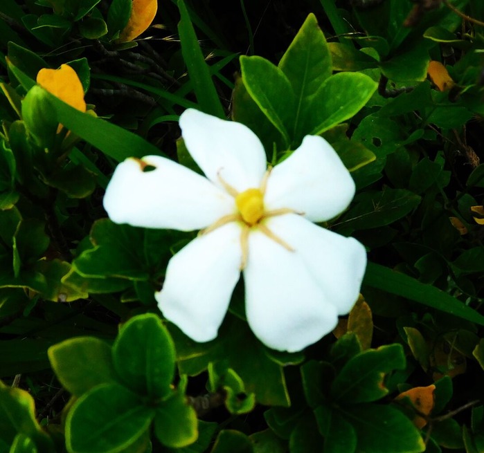 DSCN9837-11