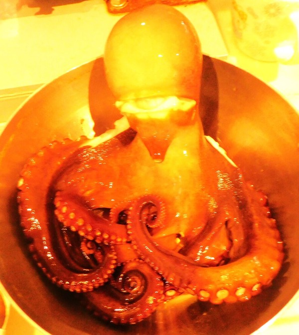 tako