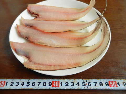 したびらめ-20150108