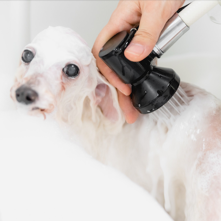 9.png 縺ョ繧ウ繝偵z繝シ