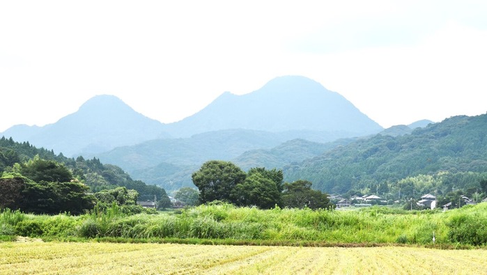 kunisakinomori