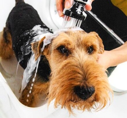 16.PNG 縺ョ繧ウ繝偵z繝シ-123