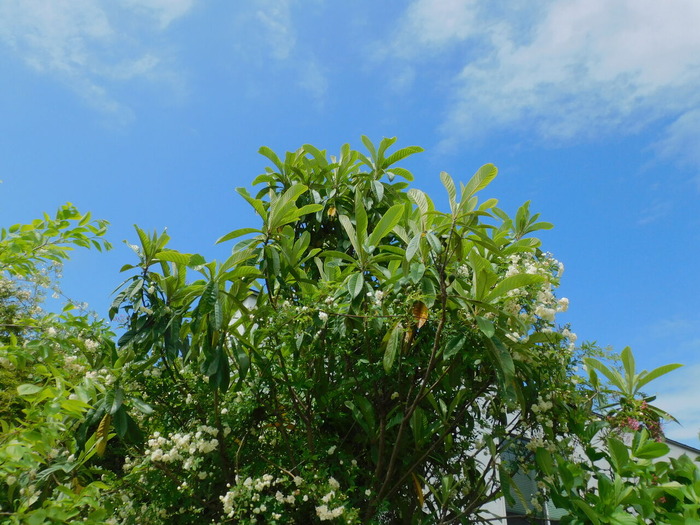 DSCN9728