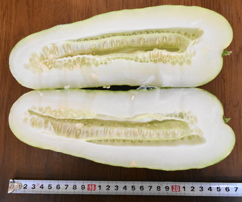 kagahutodannmenn20151206