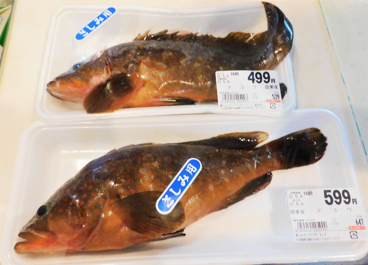 国東の食環境 326 アコウ マイクロバブル博士の マイクロバブル旅日記 国東の食環境 326 アコウ マイクロバブル博士の マイクロバブル旅日記