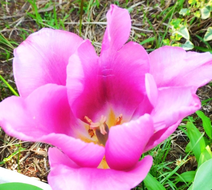 DSCN0159-11