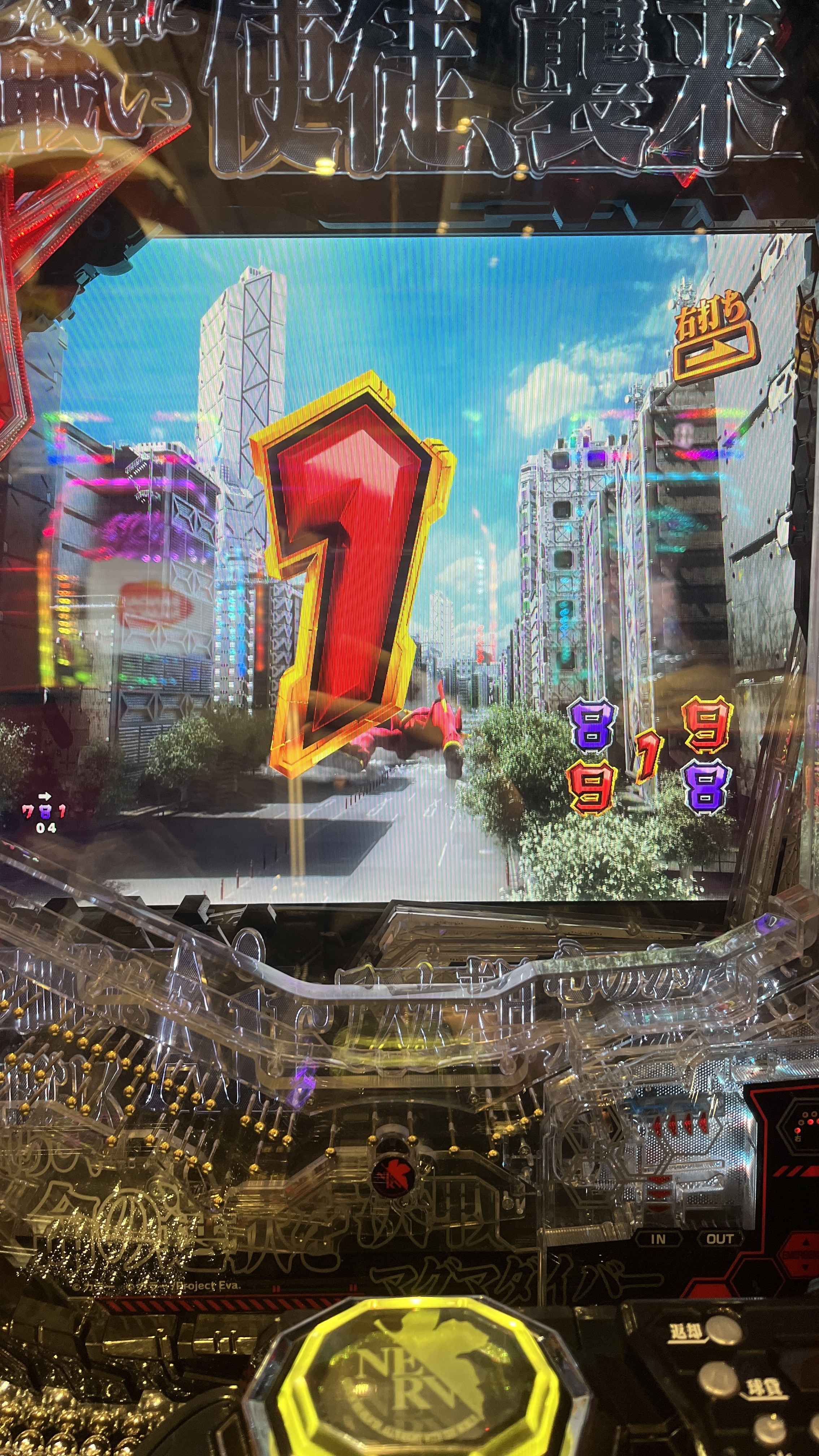 IMG_5554