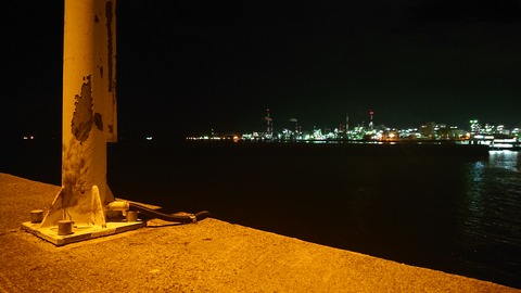 DSC_0985