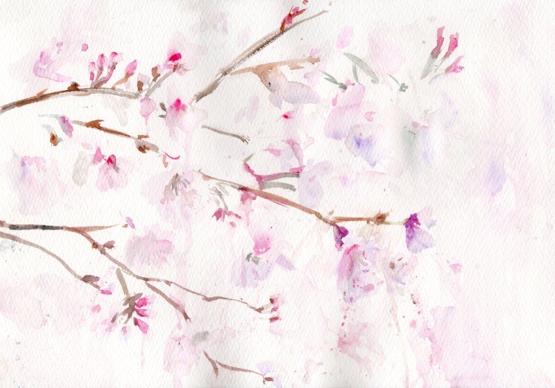 なんとなく桜の花 夢色彩々 水彩画 スケッチ帳 なんとなく桜の花 夢色彩々 水彩画 スケッチ帳