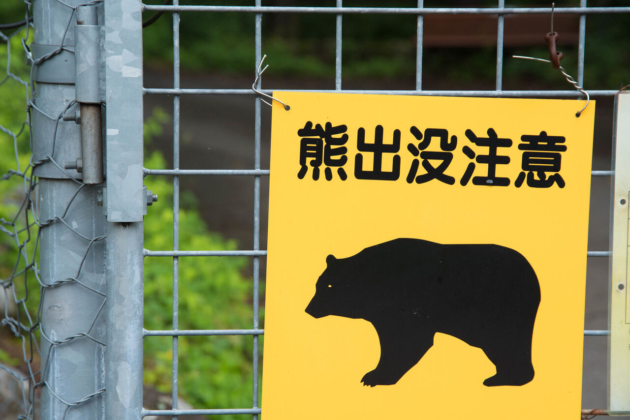 【社会】クマ駆除の殺処分に反対⁉ 保護活動を支持する声が急増‼