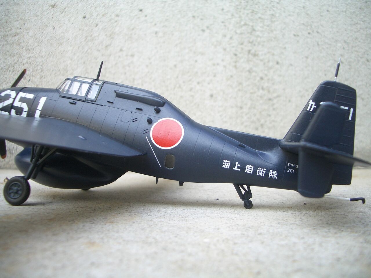 海上自衛隊にいたグッピー 模型の煮物 海上自衛隊にいたグッピー 模型の煮物