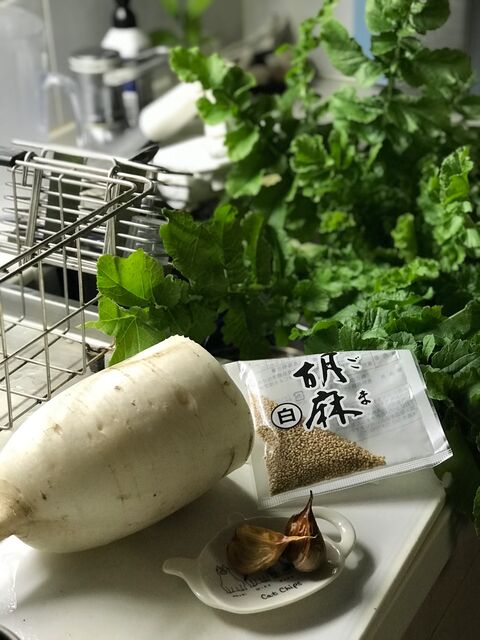 大根ゴマ黒にんにく