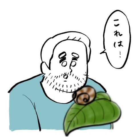 名称未設定のアートワーク 75