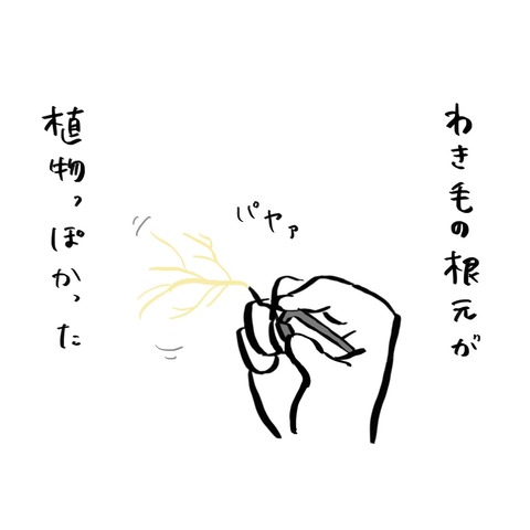 名称未設定のアートワーク 40