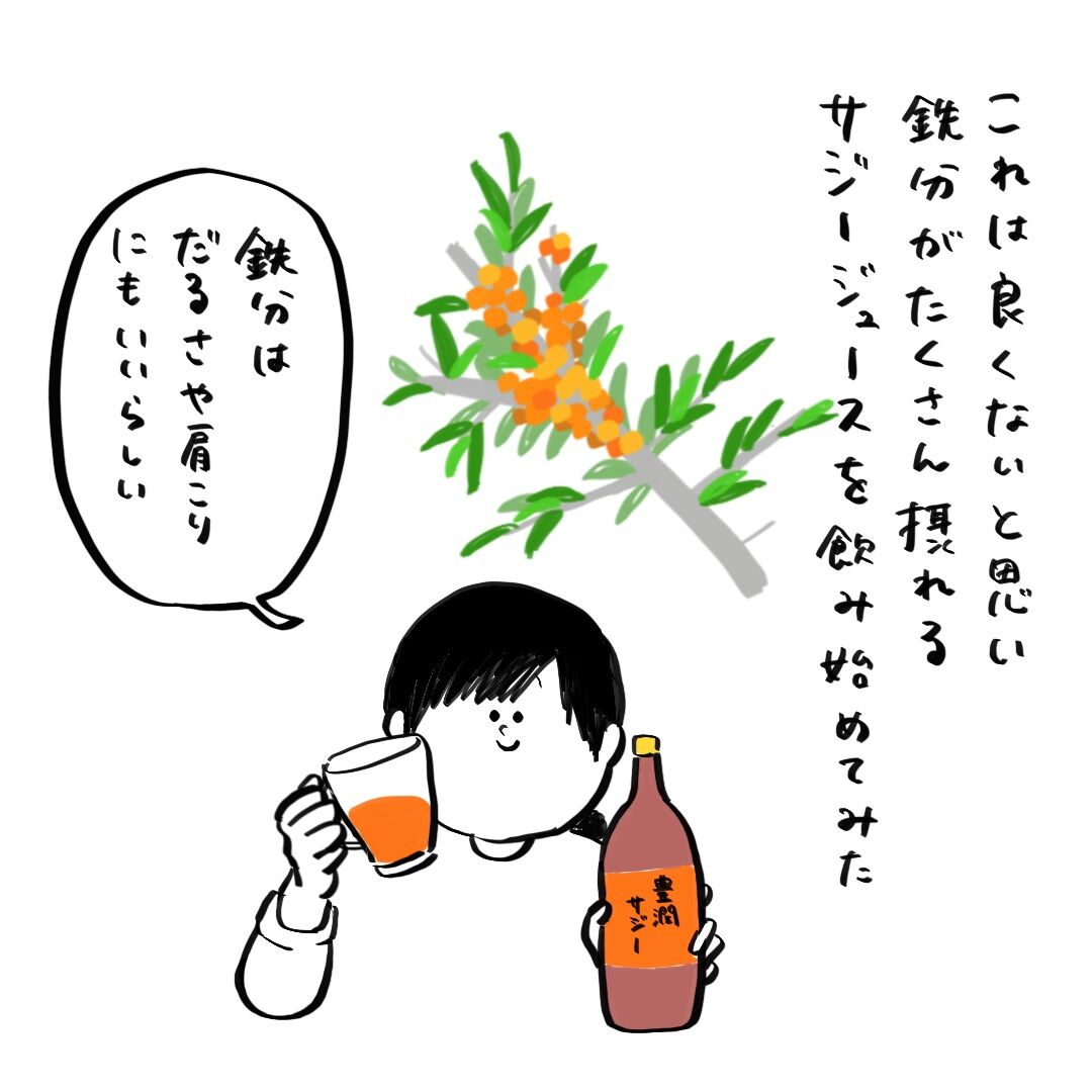 鉄分を摂るならこれがおすすめ ころころフランス人の優しい世界