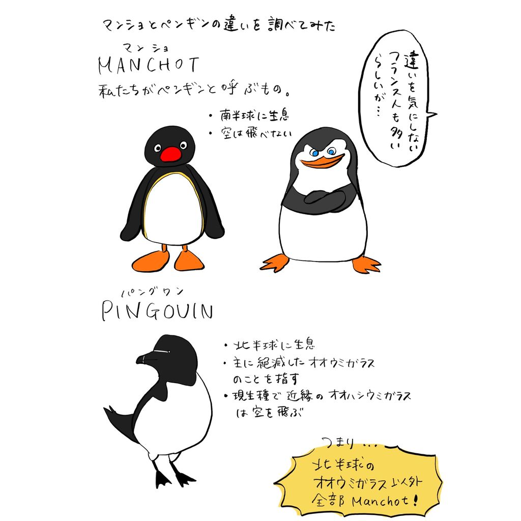 ペンギン 外国 語