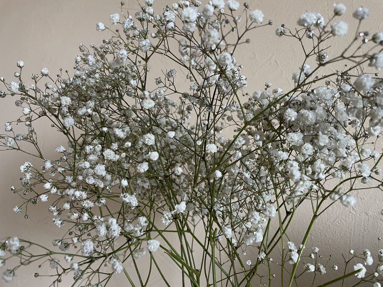 理解力のある花屋さんに感謝 ころころフランス人の優しい世界