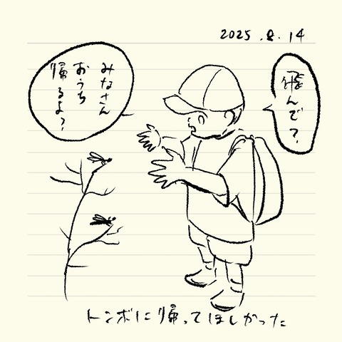 ベベダモ日記2571~ 45