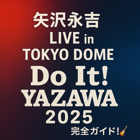 矢沢永吉 東京ドーム Do It PSS席特典セット + チケット EIKICHI