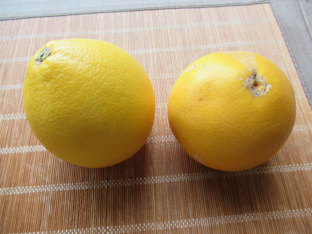 さがんルビー : ひろちゃんの玉手箱~肥前鹿島だより~
