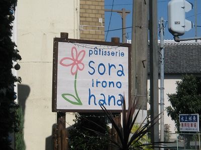 そら色の花 ひろちゃんの玉手箱 肥前鹿島だより