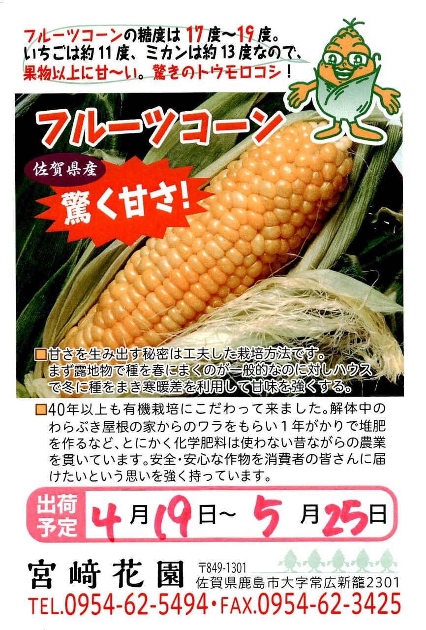 宮崎花園のフルーツコーン ひろちゃんの玉手箱 肥前鹿島だより