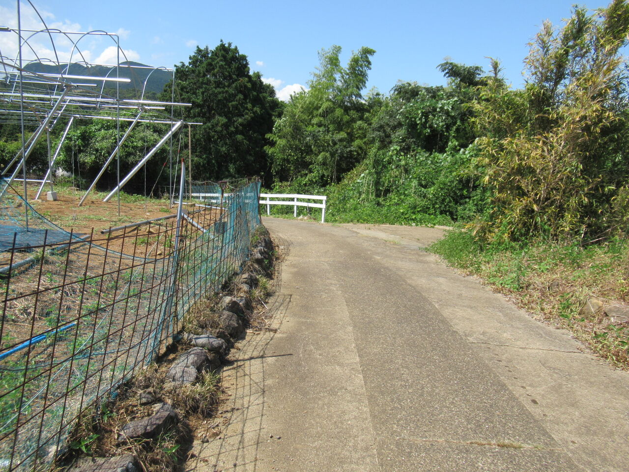 ふなごえPizza農園 : ひろちゃんの玉手箱～肥前鹿島だより～