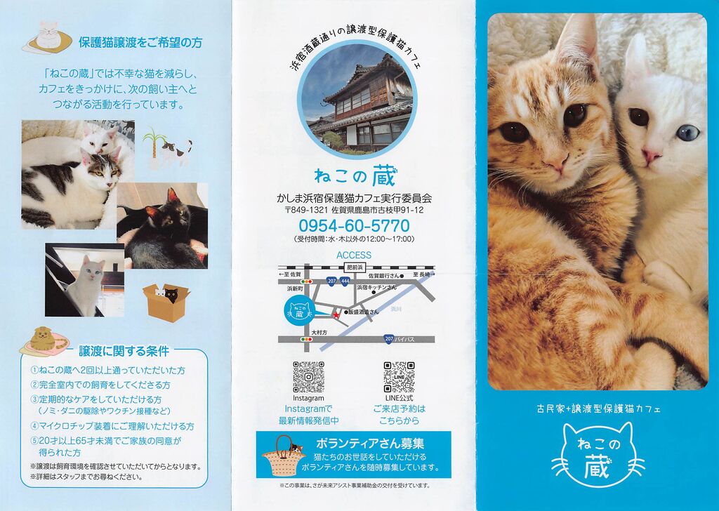 猫カフェ「ねこの蔵」で猫専用ペットホテル : ひろちゃんの玉手箱