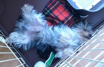 523344_322563821172170_1357184732_n