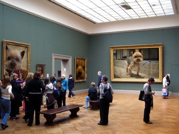 PhotoFunia-3e6a47