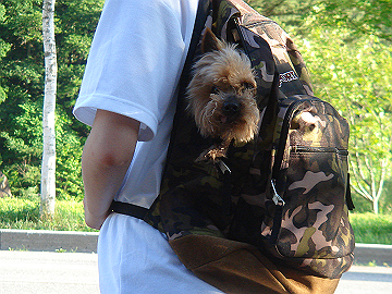DSC090850003