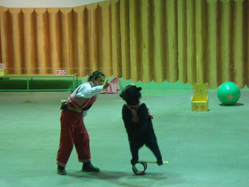 426ef7d7.jpg