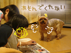 4e580a7d.jpg