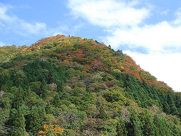 DSC099160003