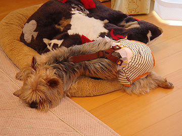 DSC009460002