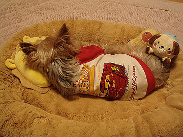 DSC000360002