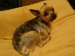 9727f41f.jpg