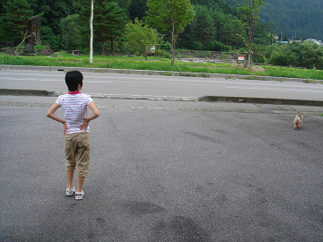 a6b407d9.jpg