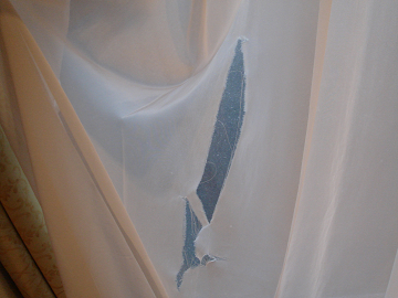 DSC086350001