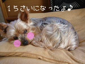 ce046463.jpg