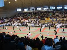 d5d73135.jpg