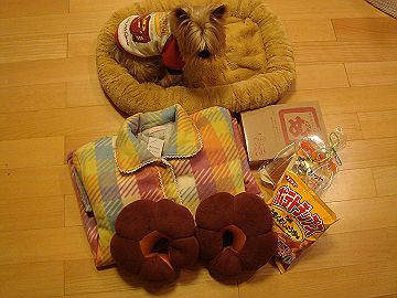DSC000300002