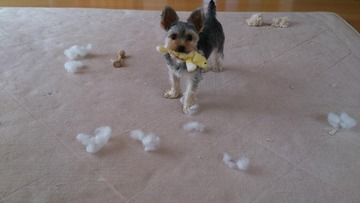 548814_331354020293150_906572777_n