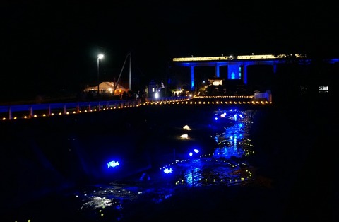 DSC02733