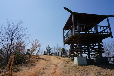 DSC03160