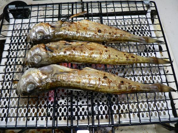 白ハタの焼き方 ３６５日の干物伝説