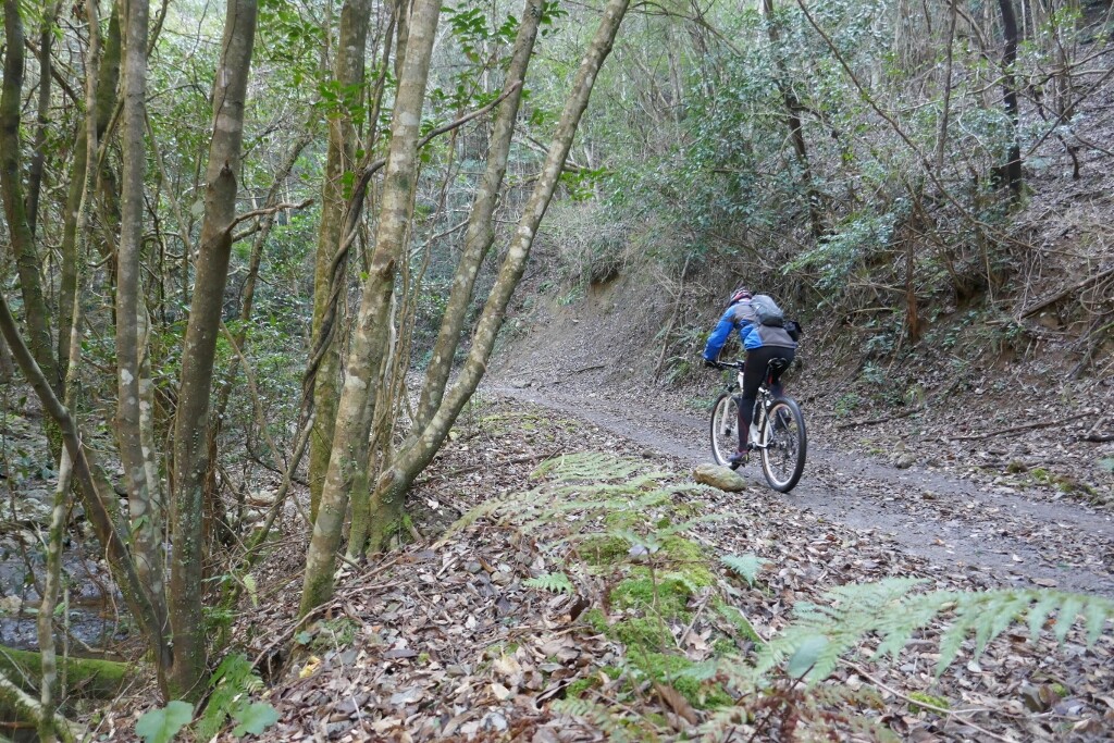 20km 自転車 時間