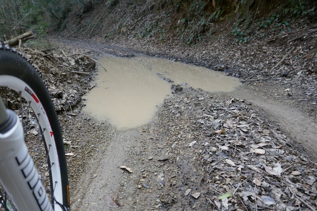 20km 自転車 時間
